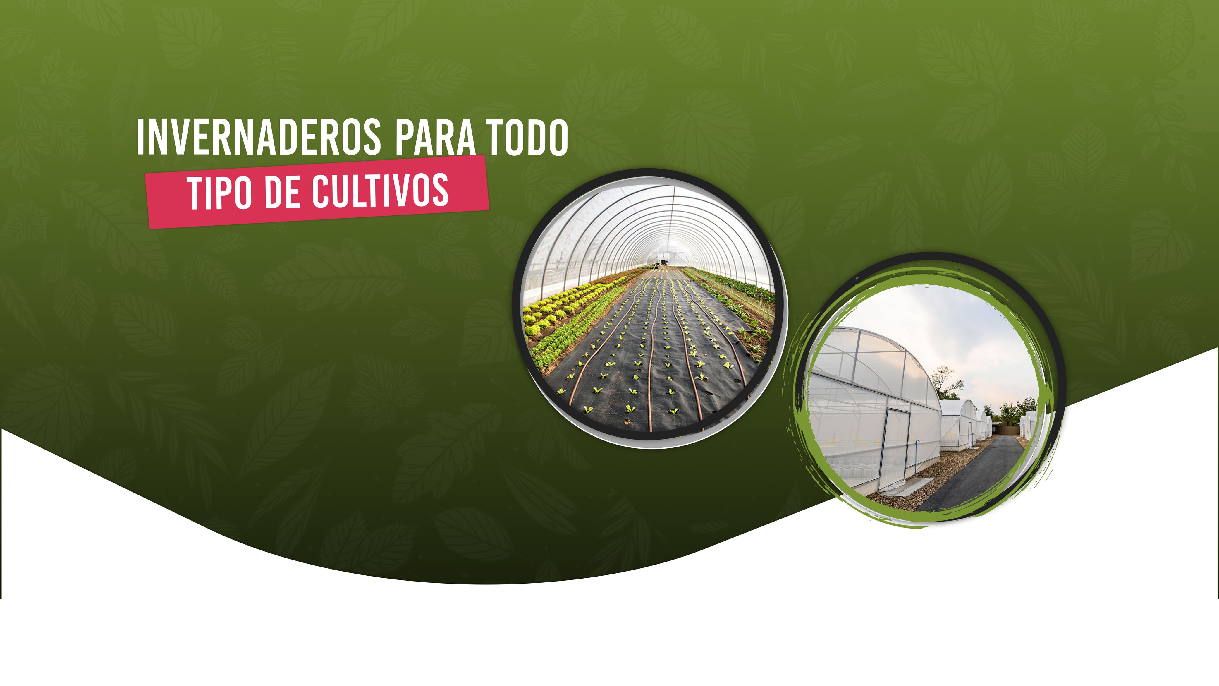 Diseño de invernaderos