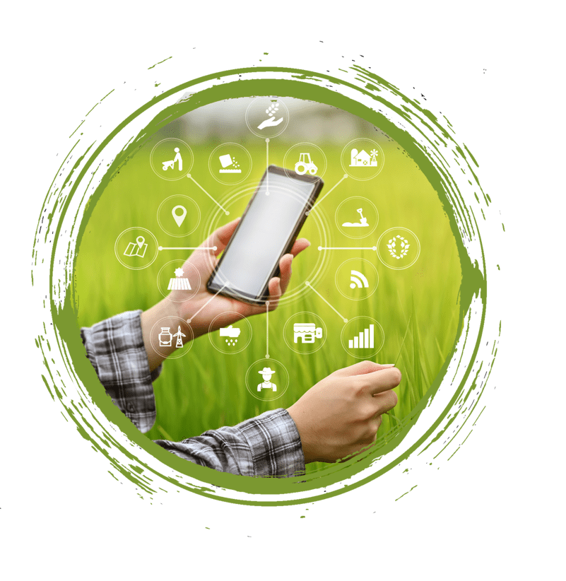 Gestion de proyectos agricolas